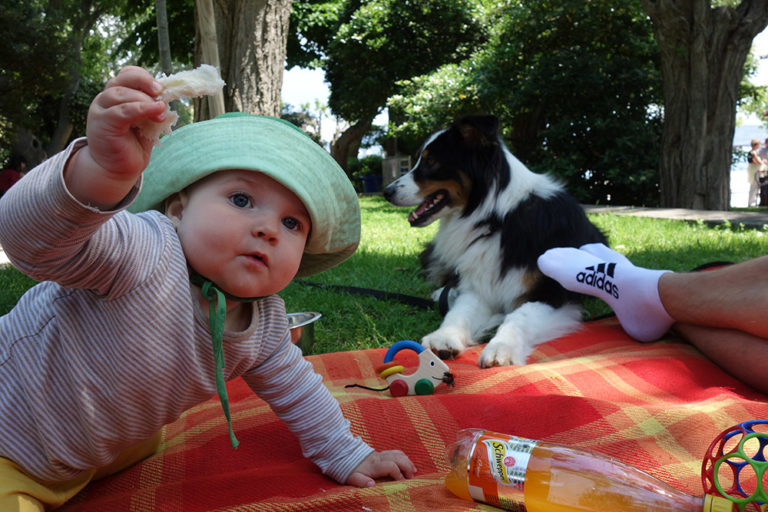 3_15_krk_piknik
