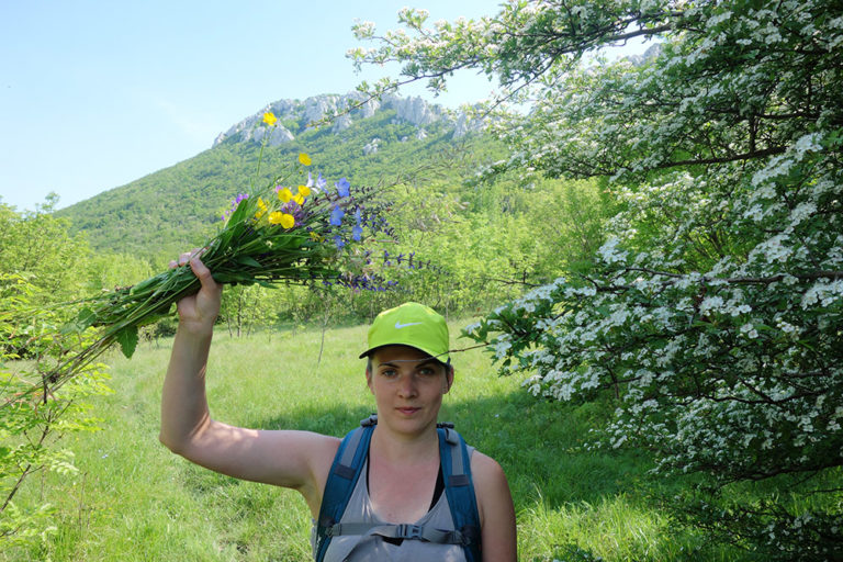 3_26_kamenjak_lilled_DSC02158