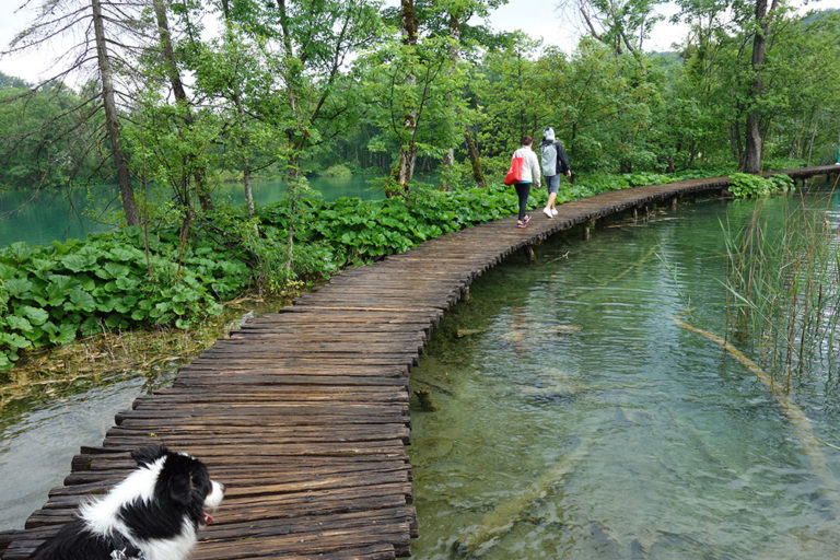 5_plitvice_DSC03027 5_plitvice_DSC03027