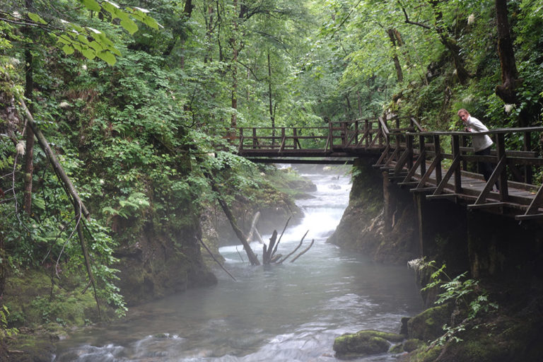 5_vbrovsko_DSC03084 5_vbrovsko_DSC03084