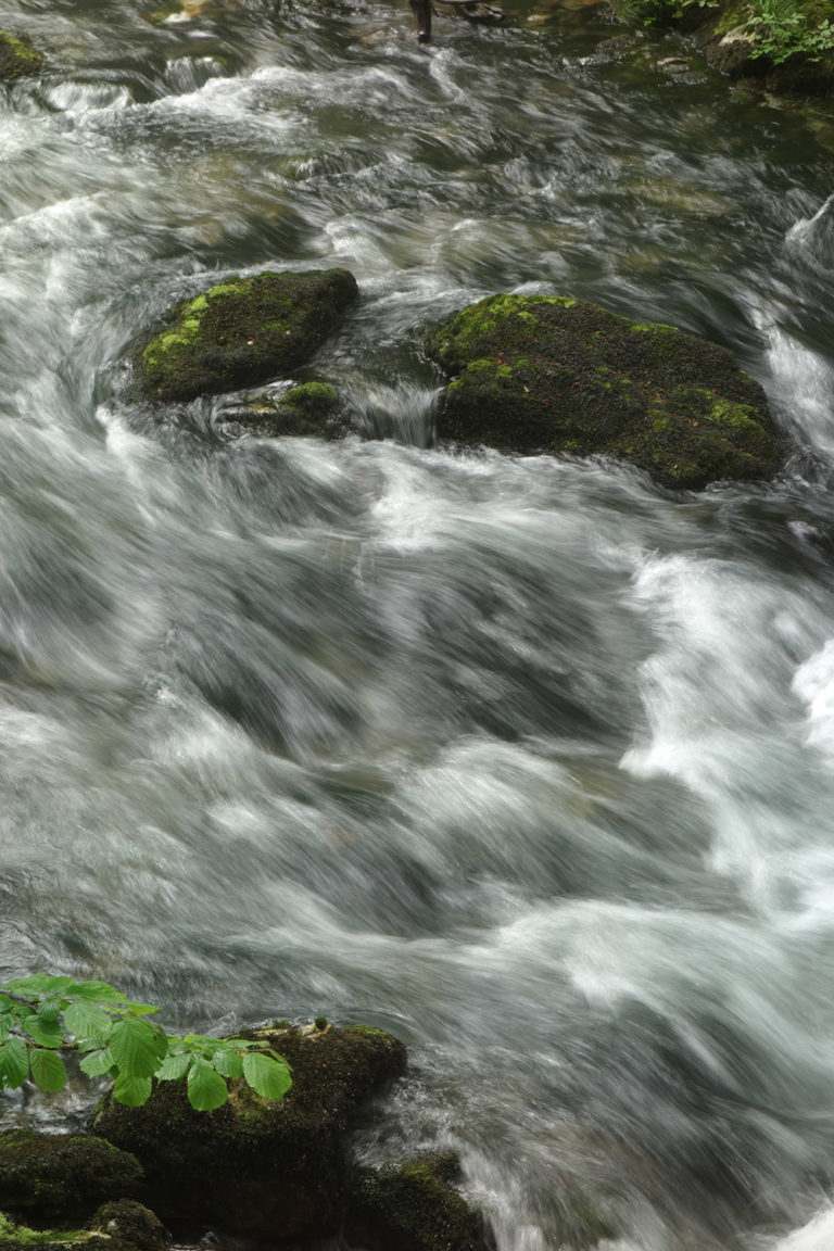 5_vbrovsko_stiil_DSC03116 5_vbrovsko_stiil_DSC03116