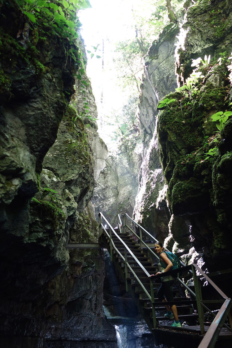 5_zeleni_jogi_DSC02591 5_zeleni_jogi_DSC02591