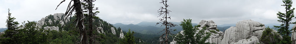 10 B1 DSC03985