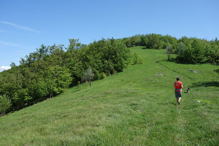 10 drogmalj DSC02251