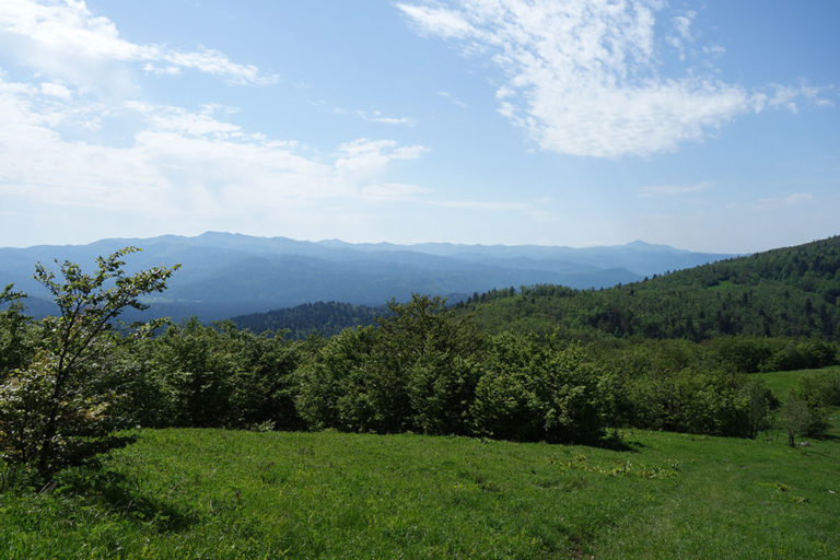 10 drogmalj DSC02260