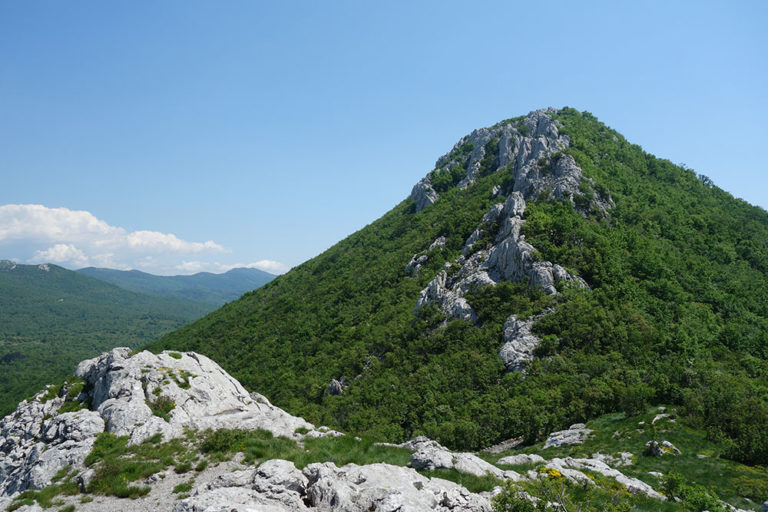 10 kamenjak DSC02112