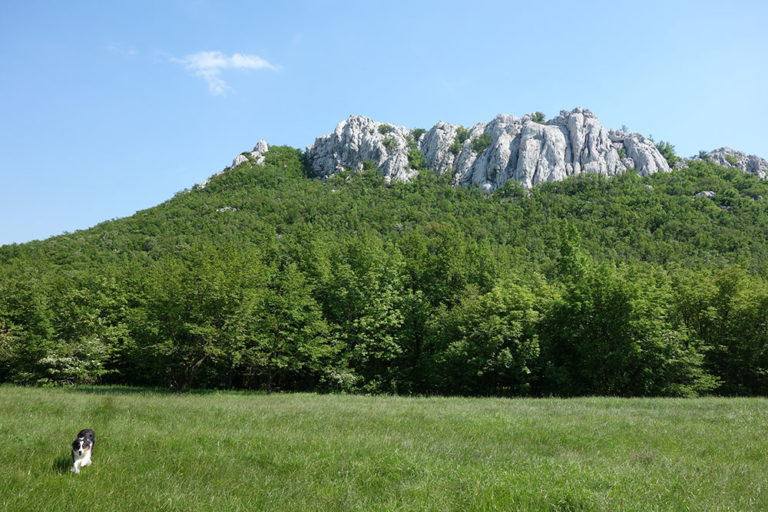 10 kamenjak DSC02154