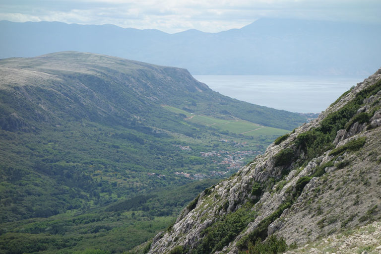 10 veli DSC02390