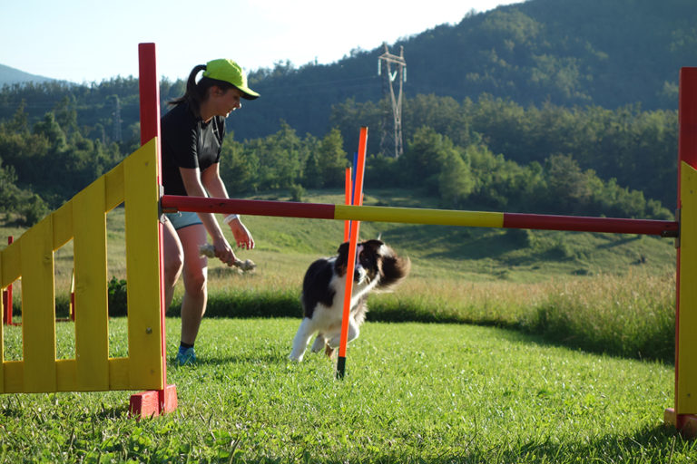 8 agility slaalom DSC04170