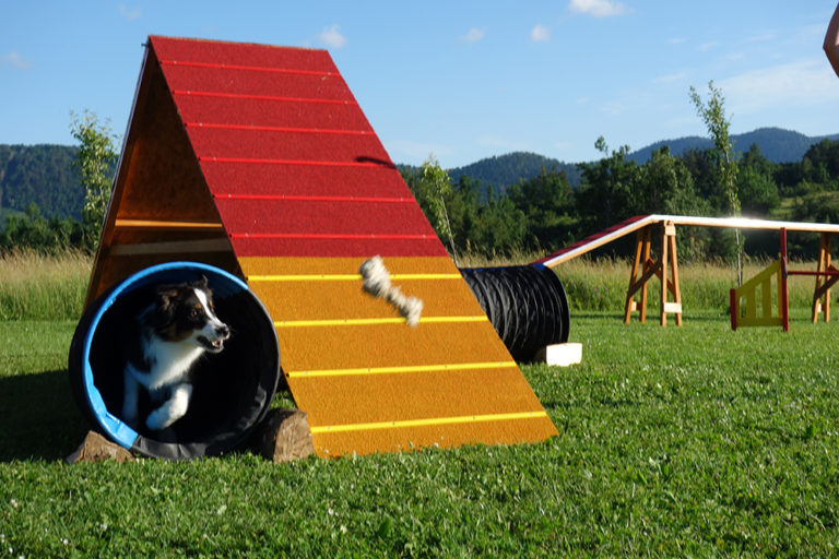 8 agility tunnel DSC04151