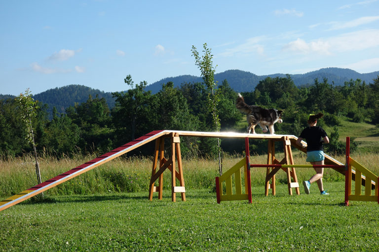 8 agility vaade DSC04123