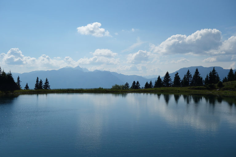 12_golte_DSC05780 12_golte_DSC05780