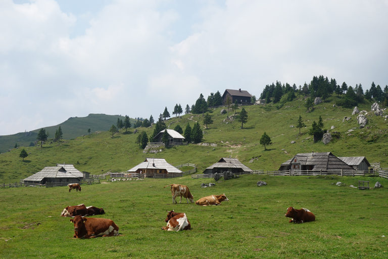 12_velika_DSC05359 12_velika_DSC05359