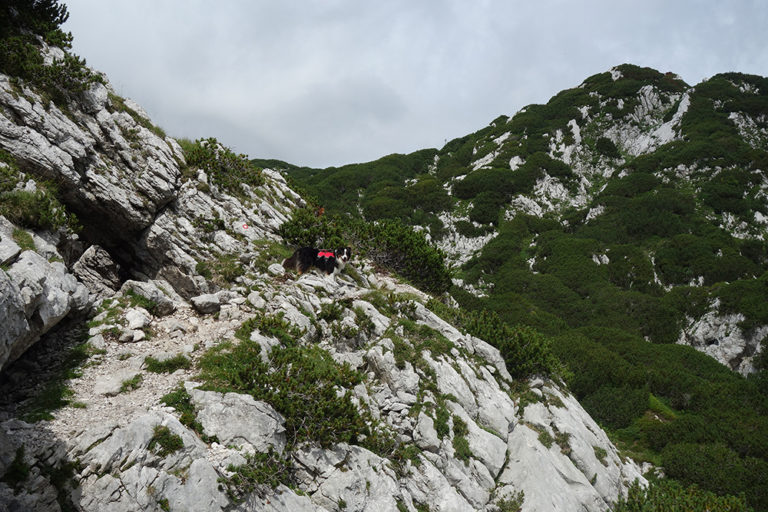13 Podvežak DSC05945