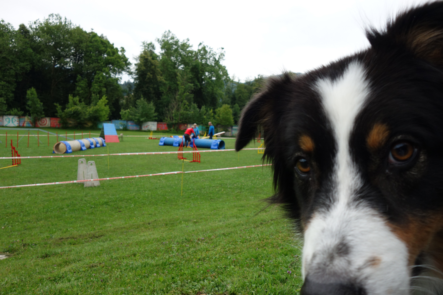 13 agility DSC05107