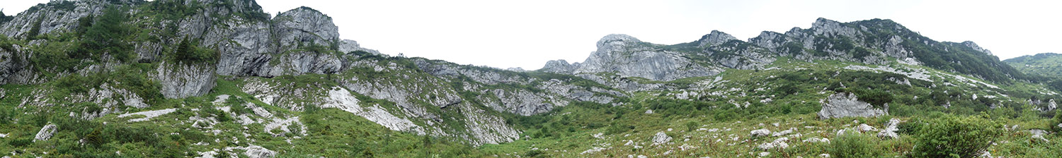 20 crna DSC06770