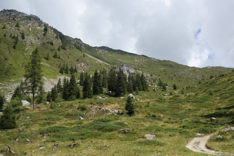 04_valgoglio_DSC08485