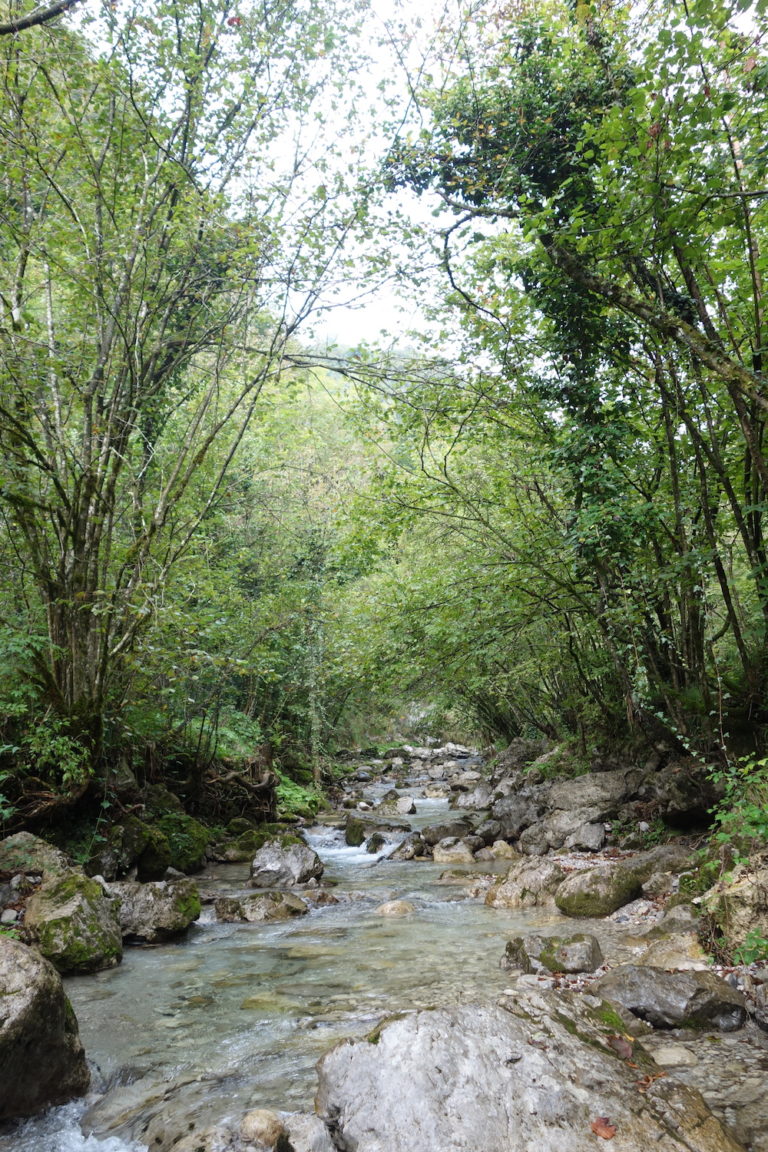 04_vertova_DSC09110