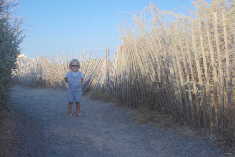 06_agdes_DSC00004