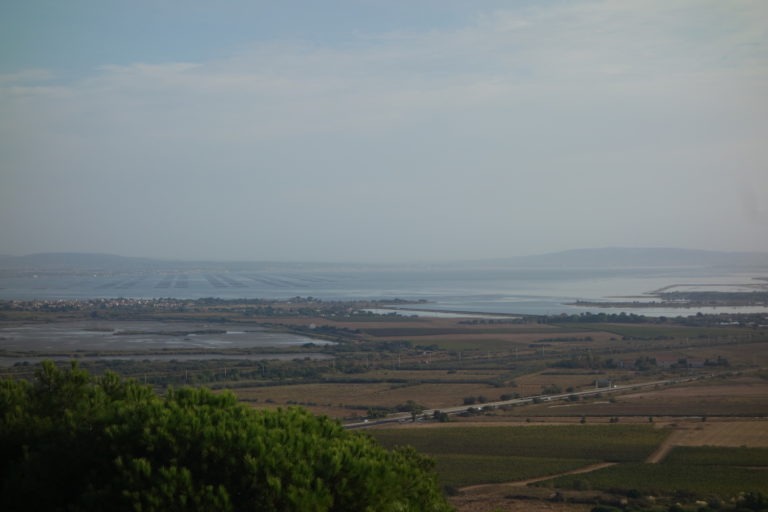 06_teod_DSC00515